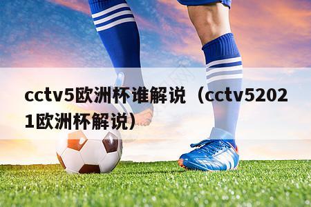 cctv5欧洲杯谁解说（cctv52021欧洲杯解说）